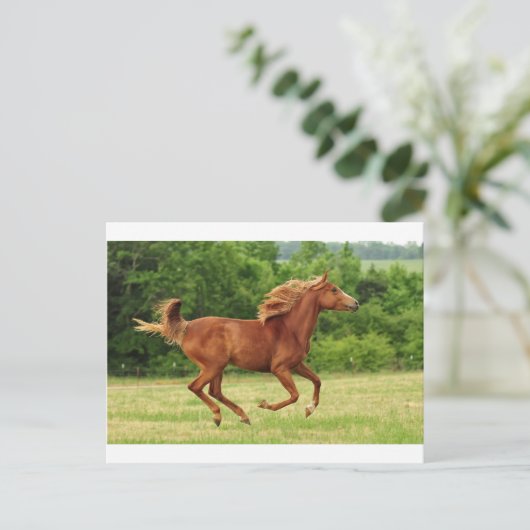 Carte Postale Exécution libre (Debout devant)