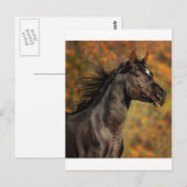 Carte Postale Exécution libre (Devant / Derrière)
