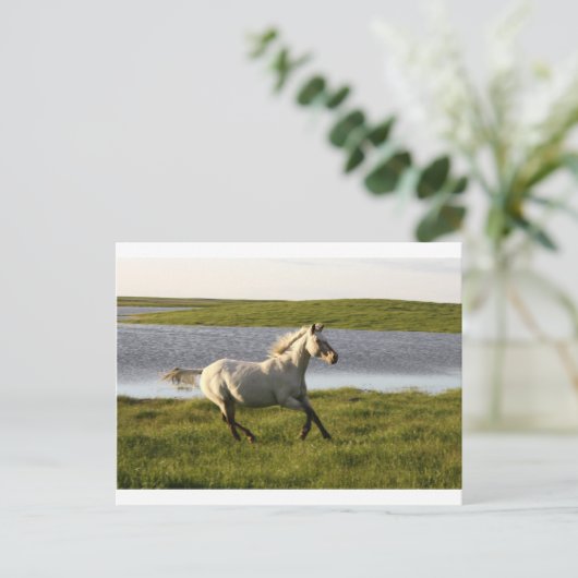 Carte Postale Exécution libre (Debout devant)