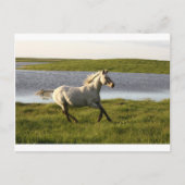 Carte Postale Exécution libre (Devant)