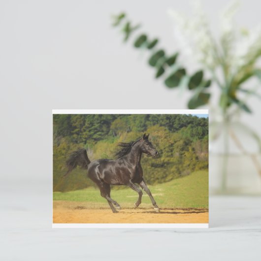 Carte Postale Exécution libre (Debout devant)