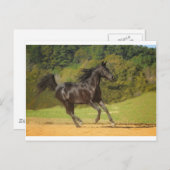 Carte Postale Exécution libre (Devant / Derrière)