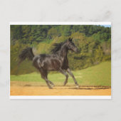 Carte Postale Exécution libre (Devant)