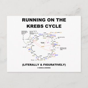 Carte Postale Exécution Sur Le Cycle Krebs (Humour Scientifique)