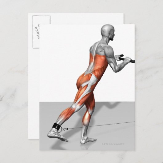 Carte Postale Exercice de patinage par câble (Devant / Derrière)