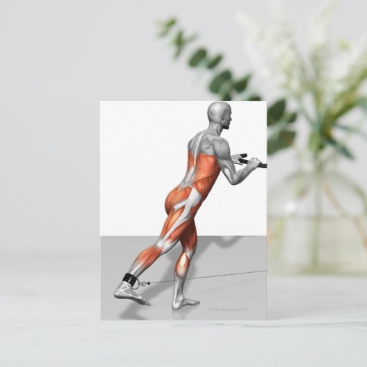 Carte Postale Exercice de patinage par câble (Debout devant)