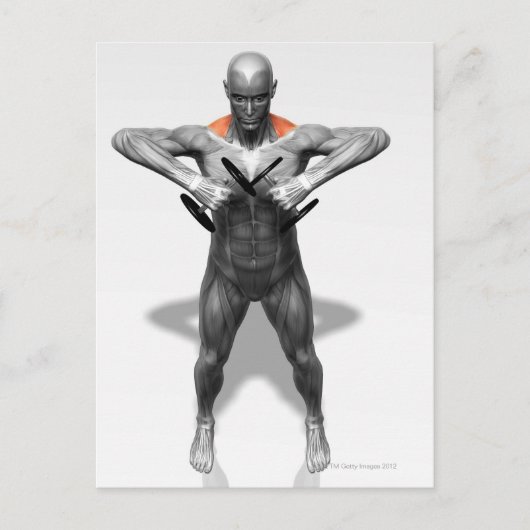 Carte Postale Exercice Ligne droite 2 (Devant)