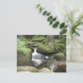 Carte Postale exeter 2009 105 (Debout devant)