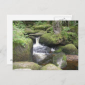 Carte Postale exeter 2009 105 (Devant / Derrière)