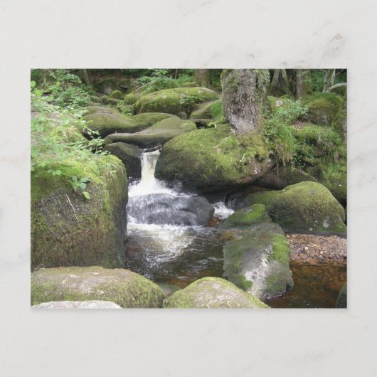 Carte Postale exeter 2009 105 (Devant)