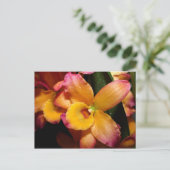 Carte postale Exotic Orchid (Debout devant)