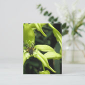 Carte postale Exotic Orchid (Debout devant)