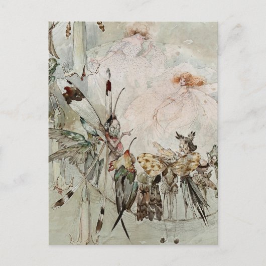 Carte Postale « Exotics à l'œuvre » par A Duncan Carse (Devant)