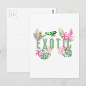 Carte Postale Exotique (Devant / Derrière)