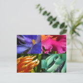 Carte postale exotique de fleurs (Debout devant)