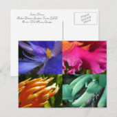 Carte postale exotique de fleurs (Devant / Derrière)