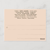 Carte Postale Expatriés travaillant pour Esso à Aruba (Dos)