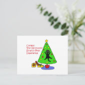 Carte Postale Expérience Catmas (Debout devant)