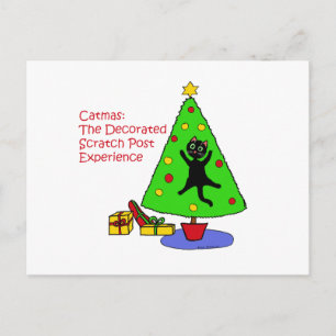 Carte Postale Expérience Catmas