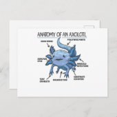 Carte Postale Explication Axolotl Anatomie D'Un Axolotl (Devant / Derrière)