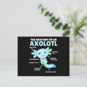 Carte Postale Explication Axolotl Anatomie D'Un Axolotl (Debout devant)