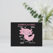 Carte Postale Explication Axolotl Anatomie D'Un Axolotl (Debout devant)
