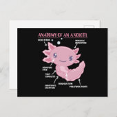 Carte Postale Explication Axolotl Anatomie D'Un Axolotl (Devant / Derrière)