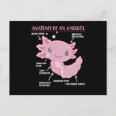 Carte Postale Explication Axolotl Anatomie D'Un Axolotl (Devant)