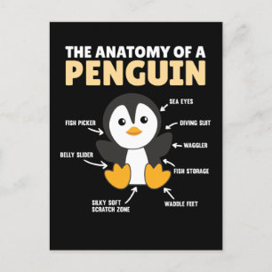 Carte Postale Explication Drôle D'Un Pingouin L'Anatomie