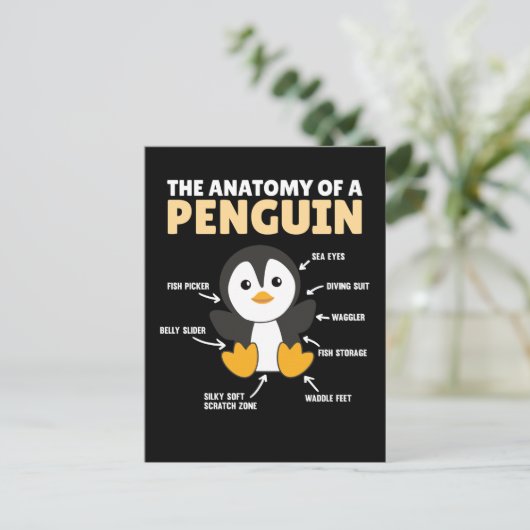 Carte Postale Explication Drôle D'Un Pingouin L'Anatomie (Debout devant)