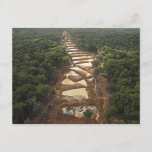 Carte Postale Exploitation de l'or alluvial. Forêt tropicale, Gu
