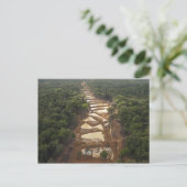 Carte Postale Exploitation de l'or alluvial. Forêt tropicale, Gu (Debout devant)