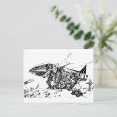 Carte Postale Exploitation spatiale (Debout devant)