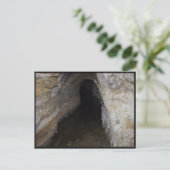 Carte Postale Exploration des grottes (Debout devant)