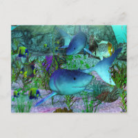 Exploration requins 3D