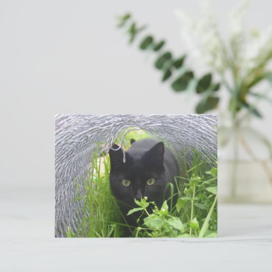 Carte Postale Explorer (Debout devant)