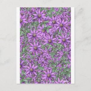 Carte Postale Explosion de fleurs de passion