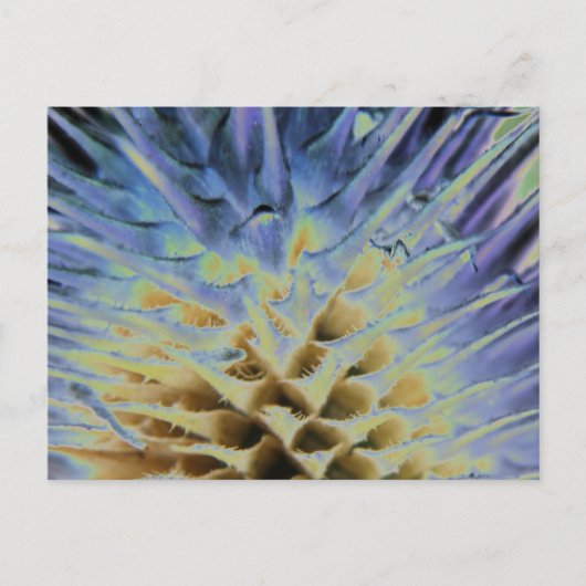 Carte postale Explosion d'herbe sauvage (Devant)