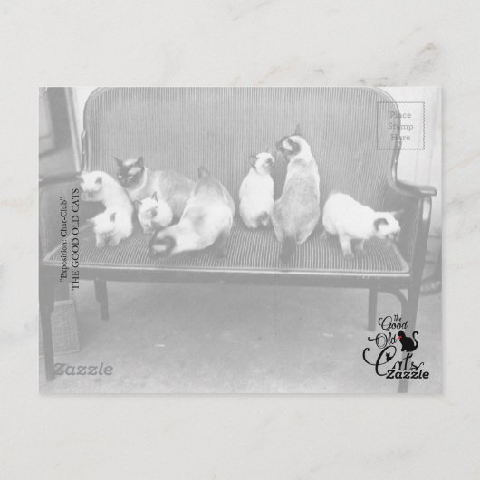 Carte Postale Exposition Cat Club - Mondial 494 (Dos)