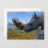 Carte Postale Express du Kalahari (Devant / Derrière)