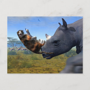 Carte Postale Express du Kalahari