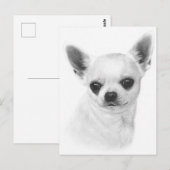 Carte Postale Expression Chihuahua Peinte à la main (Devant / Derrière)