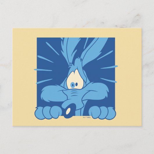 Carte Postale Expression de choc de BÉBÉE COYOTE™ (Devant)
