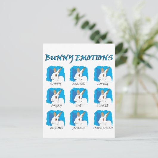 CARTE POSTALE EXPRESSIONS (Debout devant)