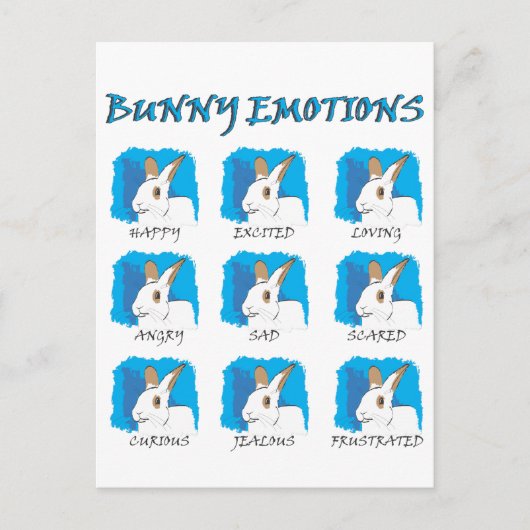 CARTE POSTALE EXPRESSIONS (Devant)