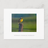 Carte Postale Externaliser, Externaliser, Externaliser (Devant)