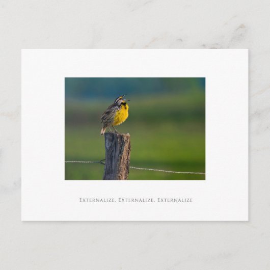 Carte Postale Externaliser, Externaliser, Externaliser (Devant)