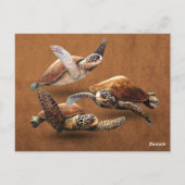 Carte Postale Extinction d'animaux de tortues marines Sauvez les (Dos)