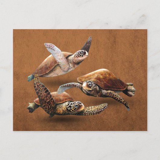 Carte Postale Extinction d'animaux de tortues marines Sauvez les (Devant)