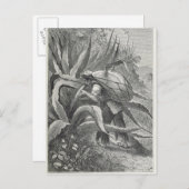 Carte Postale Extraction du pulque (Devant / Derrière)